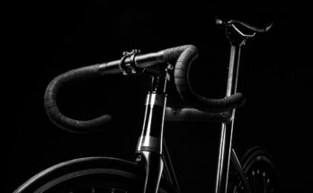 Sunny Health and Fitness bike