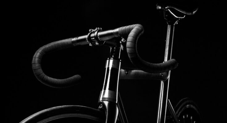 Sunny Health and Fitness bike
