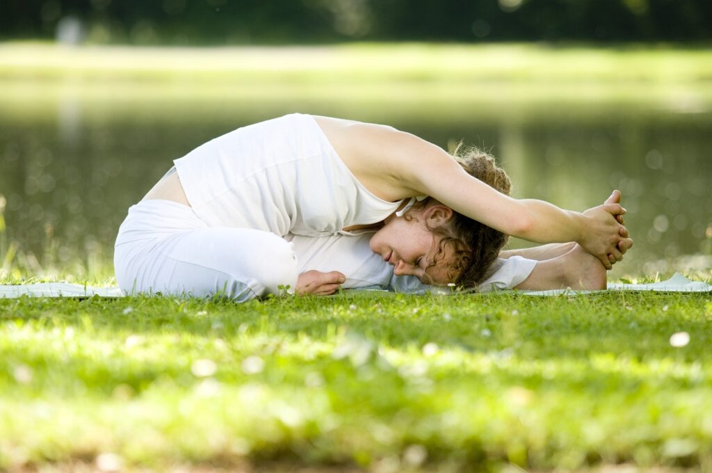 physical fitness program