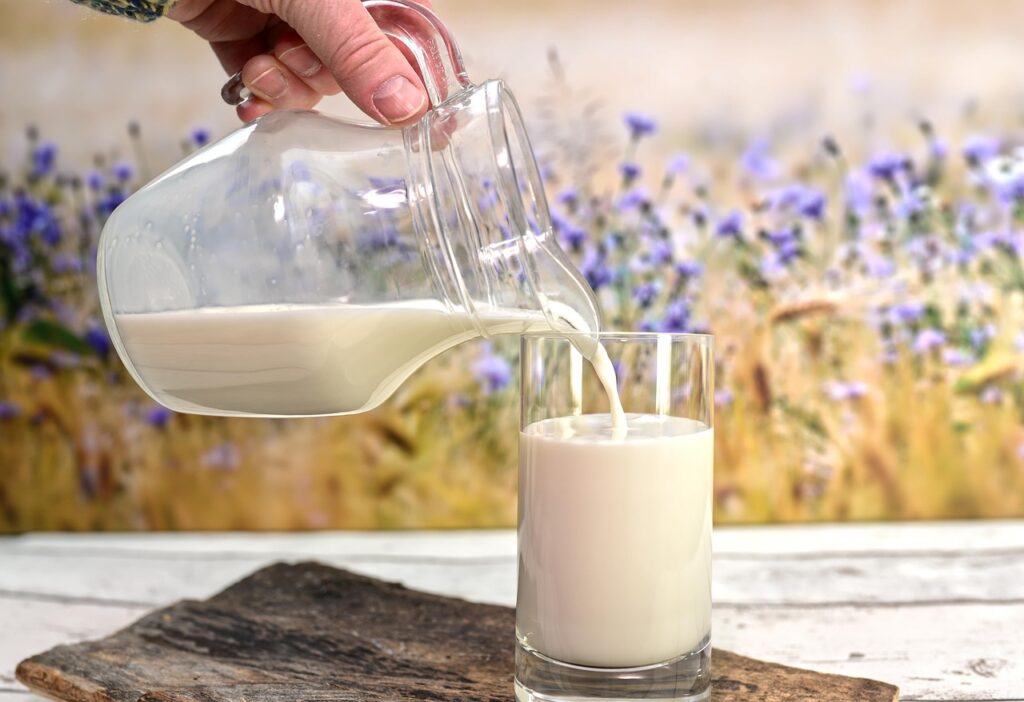 Glass of whole milk with cheese and yogurt for healthy weight gain